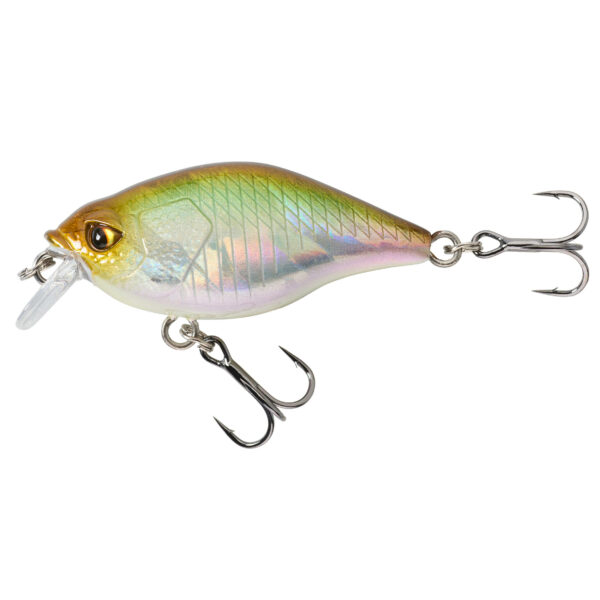 Wobbler Crankbait Shallow Runner WXM CRKSR 40 F grüner Rücken