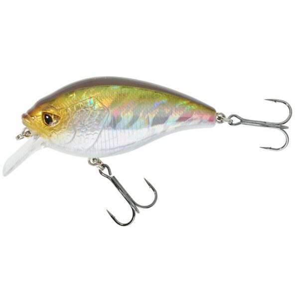 Wobbler Crankbait Shallow Runner WXM CRKSR 70F grüner Rücken